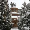 rizdvo_17_ - 1